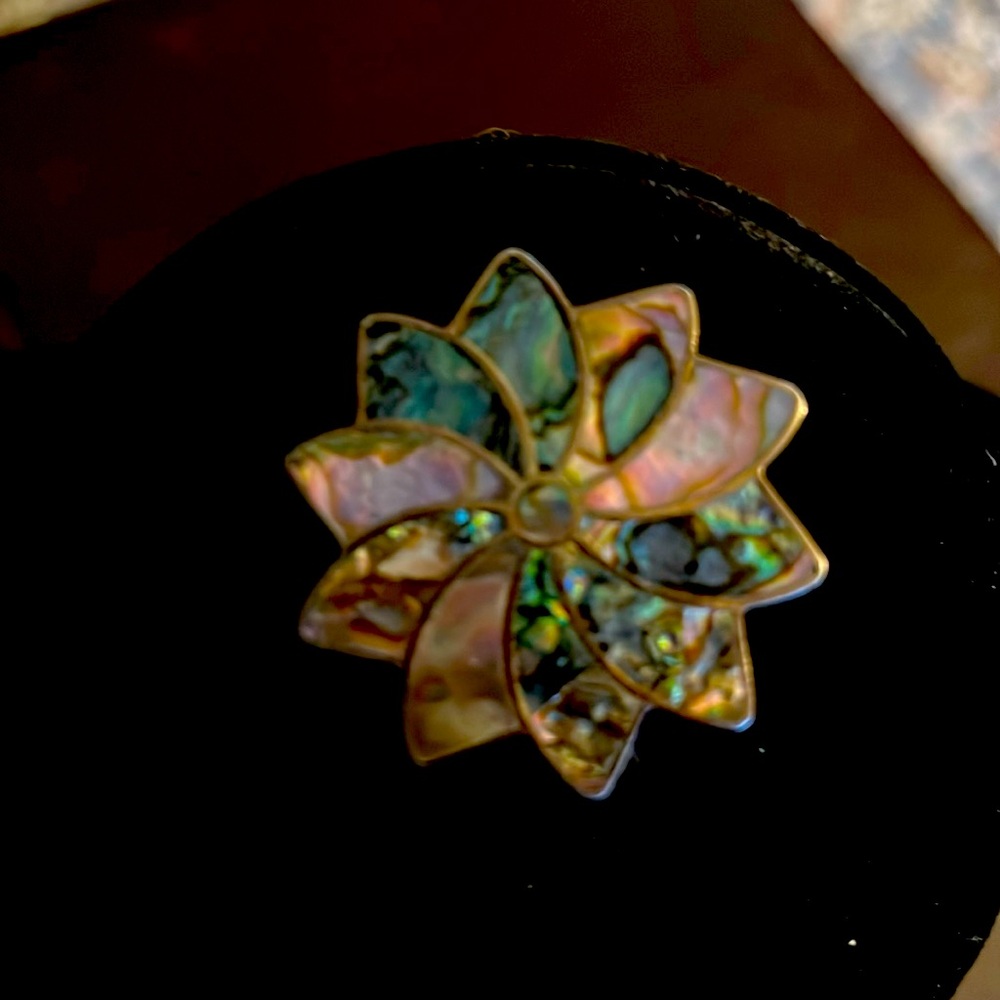 Cloisonné Brooch/pPendant